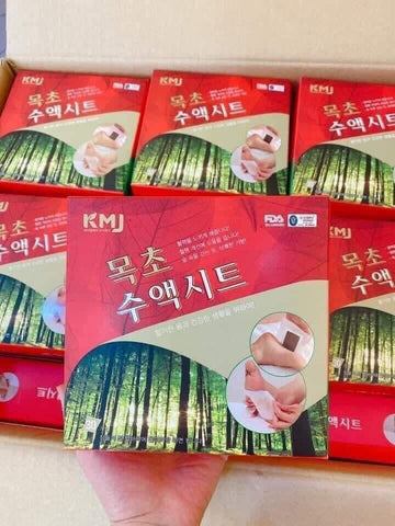 Energy Detox Foot Patch-Korea - Kl Skincare