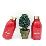 Bulgama Cream - Kl Skincare