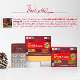 TINH DẦU THÔNG ĐỎ KANGNAM