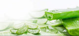 EL NUTRI - ALOE VERA COLLAGEN JELLY STICK