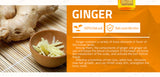 Professional Hair Ginger Shampoo