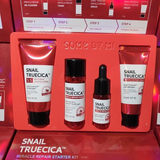 Snail Truecica Miracle Repair Starter Kit